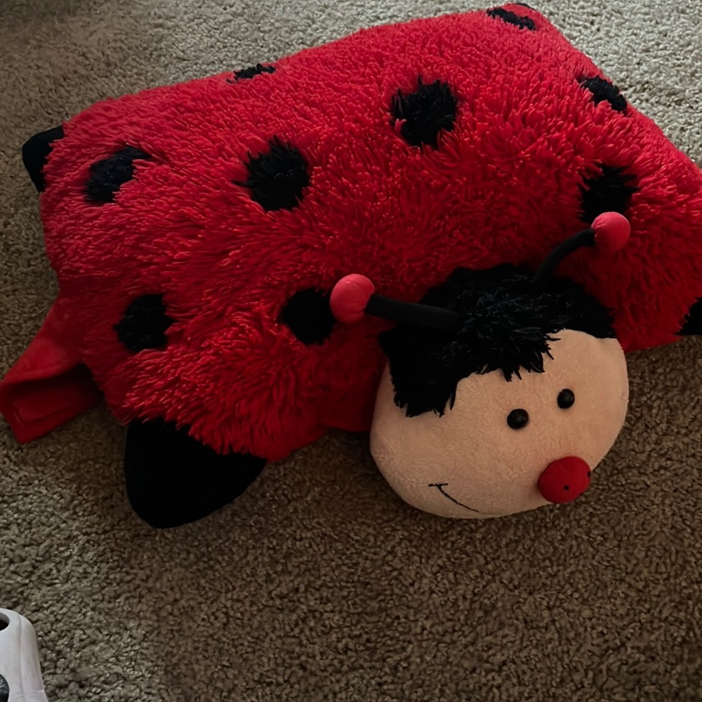 Ladybug pillow pet